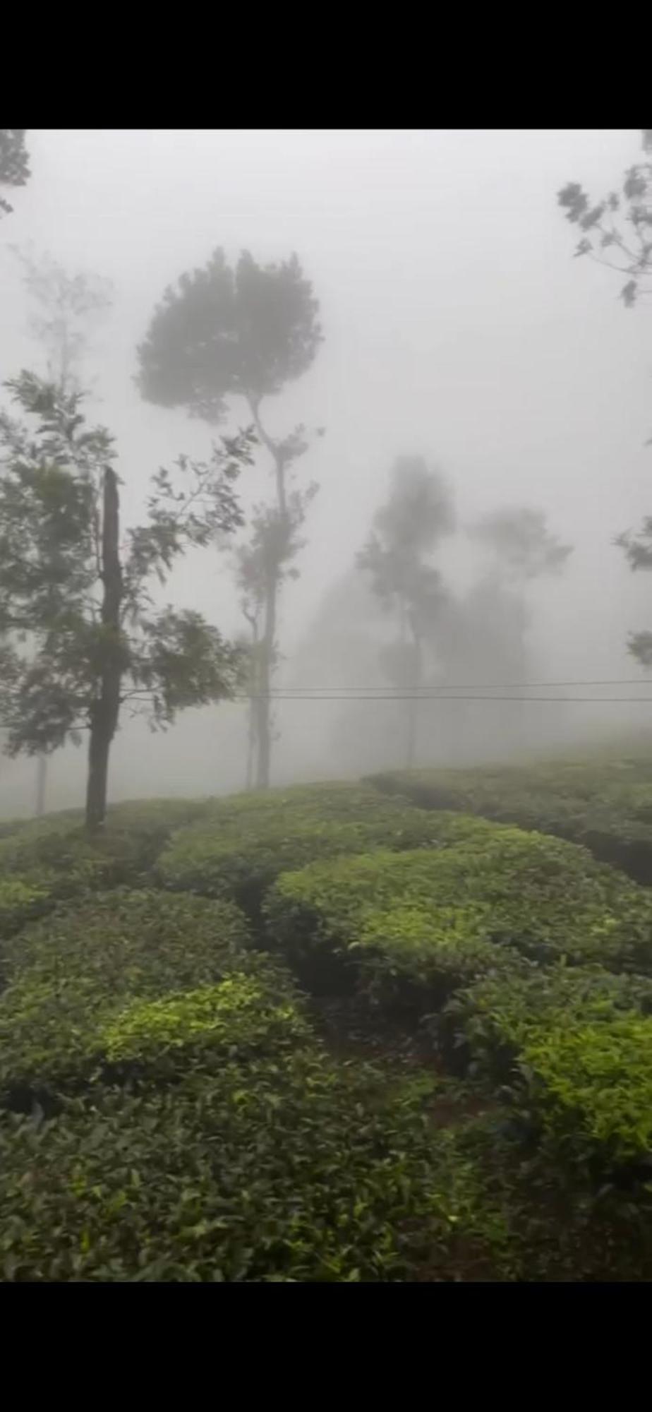 Moss Adams Inn Vagamon Exterior photo